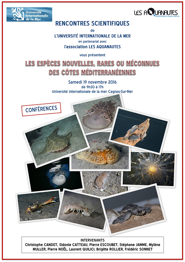 rencontre scientifique internationale